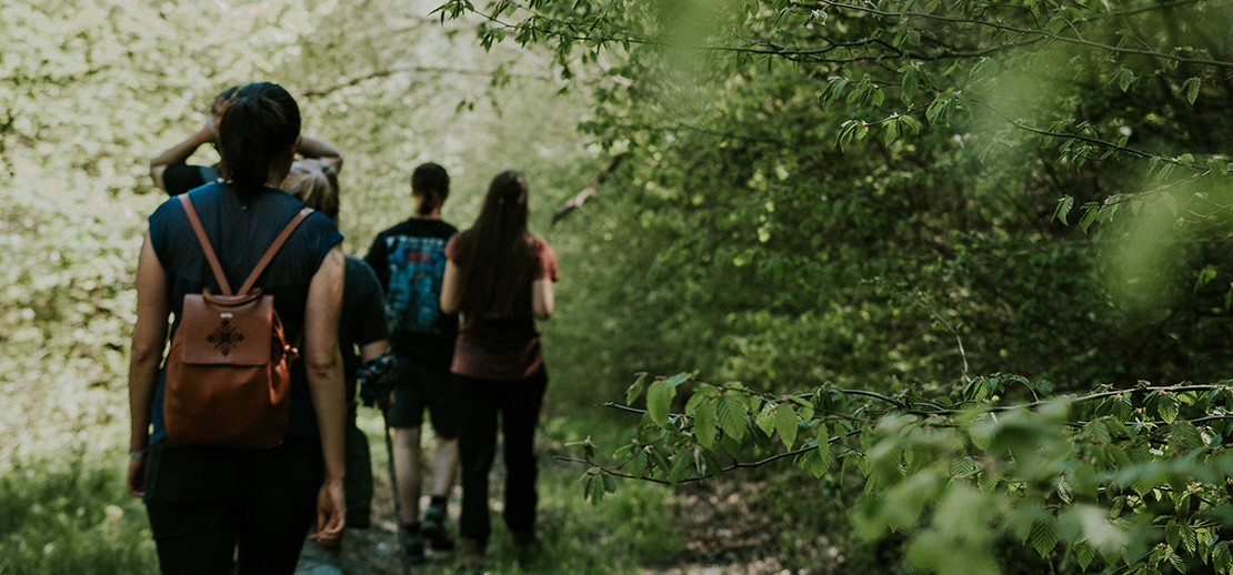 group of students walking on trail through lu student counseling enrichment service lets walk